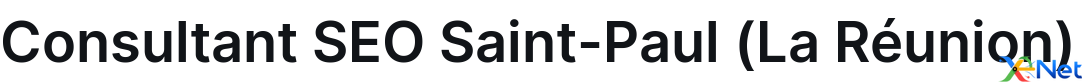 Consultant SEO Saint-Paul (La Réunion)